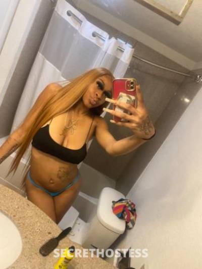 21Yrs Old Escort Houston TX Image - 1