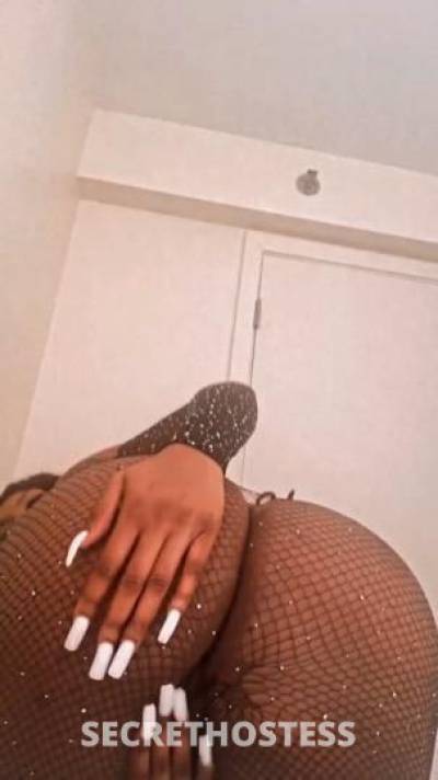 25Yrs Old Escort Columbus OH Image - 3