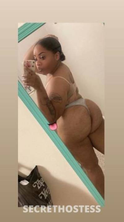 25Yrs Old Escort Houston TX Image - 1