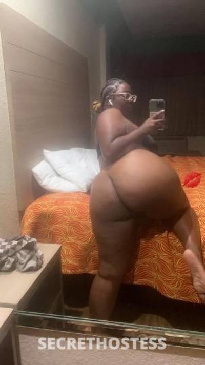 27Yrs Old Escort Houston TX Image - 1