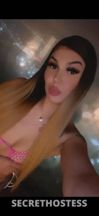 Aysia 23Yrs Old Escort Chico CA Image - 4