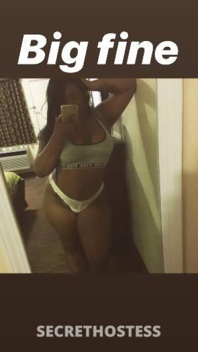 Cairo 29Yrs Old Escort Concord CA Image - 5