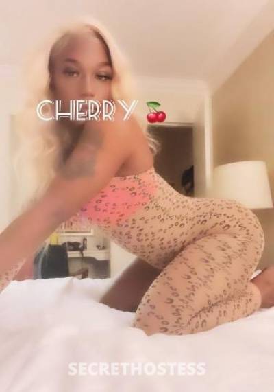 Cherry 25Yrs Old Escort 162CM Tall Oakland CA Image - 1