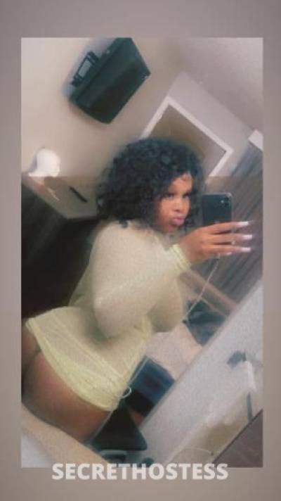 Clasiq 20Yrs Old Escort Dallas TX Image - 2