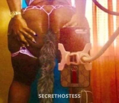 CoCoPuff 28Yrs Old Escort Phoenix AZ Image - 5