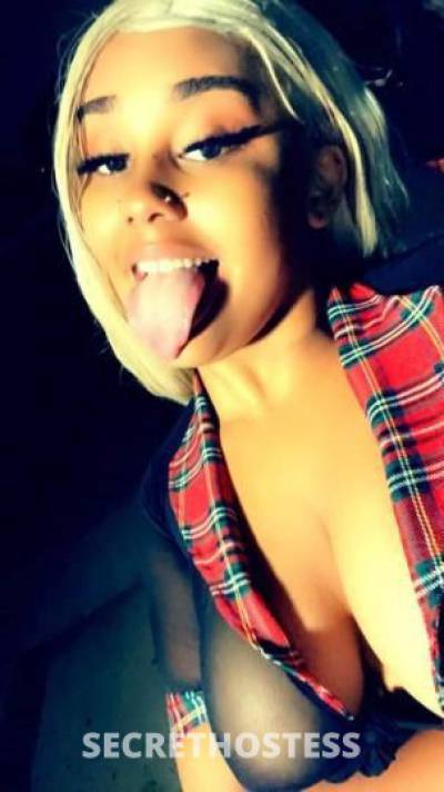 Honey 19Yrs Old Escort San Jose CA Image - 2