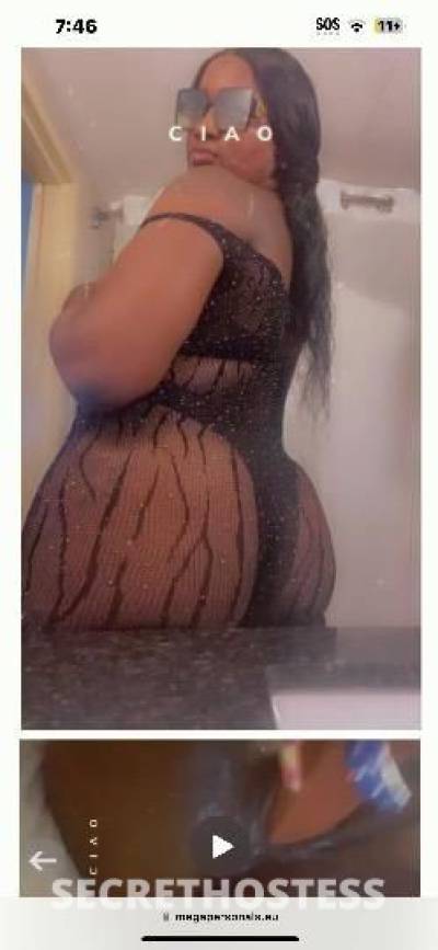 Rozay 28Yrs Old Escort Jacksonville FL Image - 4