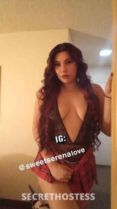 Serena 24Yrs Old Escort San Jose CA Image - 9