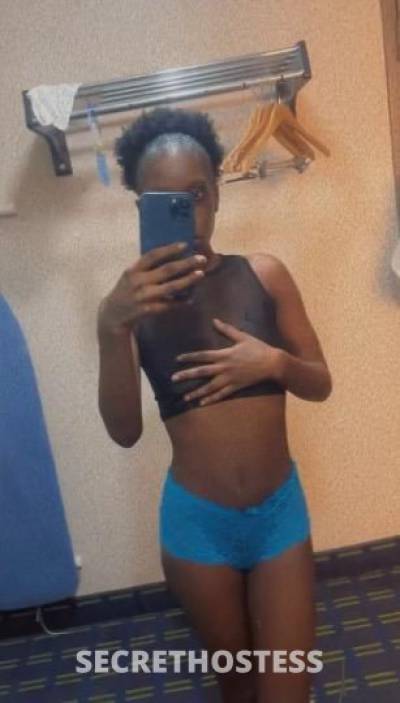 WetCoco 24Yrs Old Escort Little Rock AR Image - 0