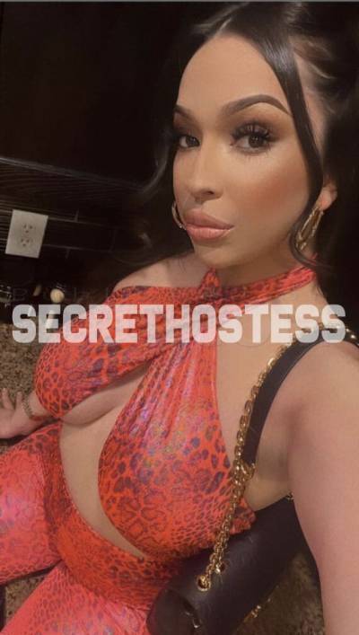 25Yrs Old Escort 55KG 157CM Tall Miami FL Image - 3
