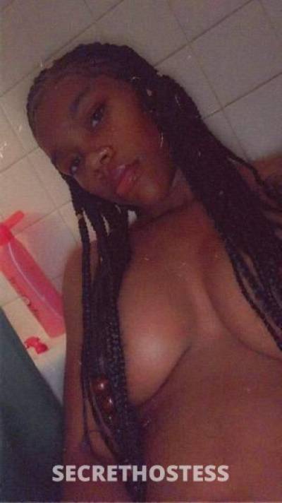 Alis 24Yrs Old Escort Toledo OH Image - 3