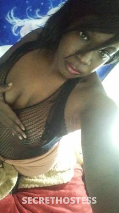 Amber 24Yrs Old Escort Madison WI Image - 7