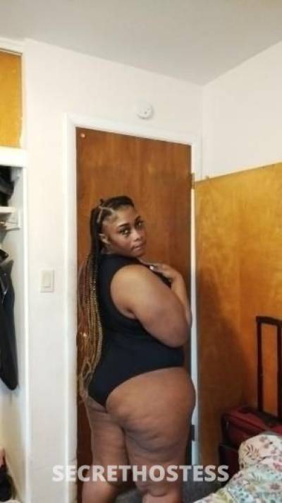 Bri 24Yrs Old Escort Detroit MI Image - 2