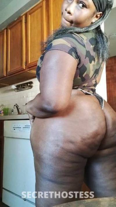 Bri 24Yrs Old Escort Detroit MI Image - 3