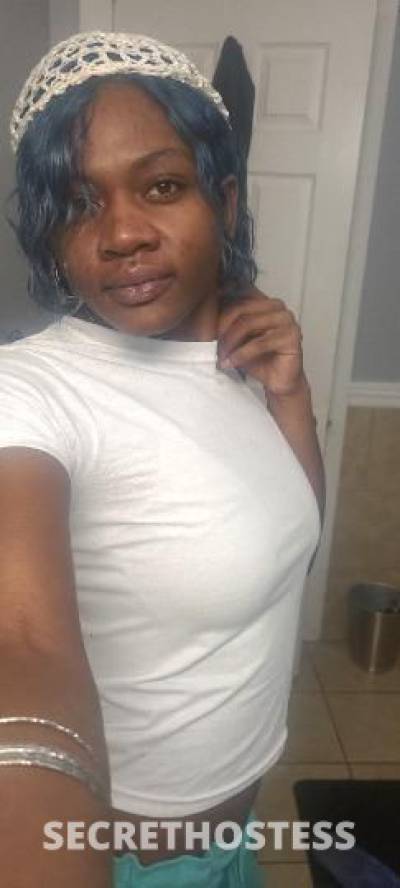 CeeCee 24Yrs Old Escort Hudson Valley NY Image - 0