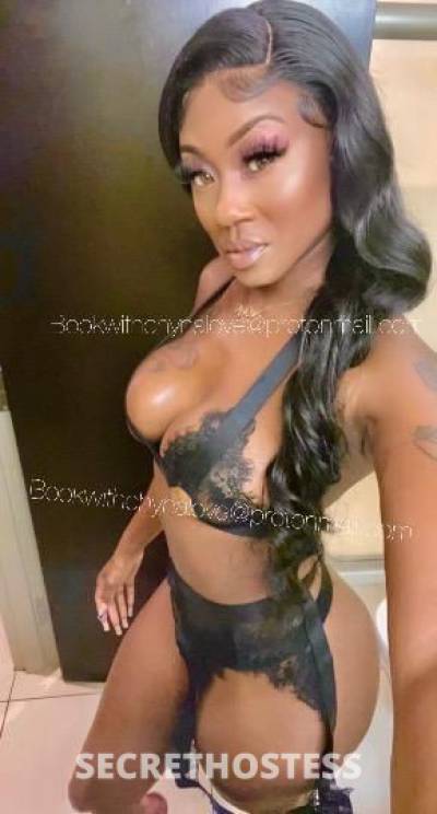 Chyna 27Yrs Old Escort Asheville NC Image - 9