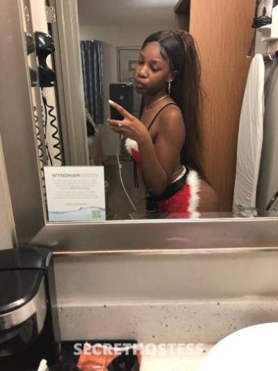 Coco🤎 20Yrs Old Escort Dallas TX Image - 2