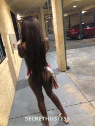 Coco🤎 20Yrs Old Escort Dallas TX Image - 6