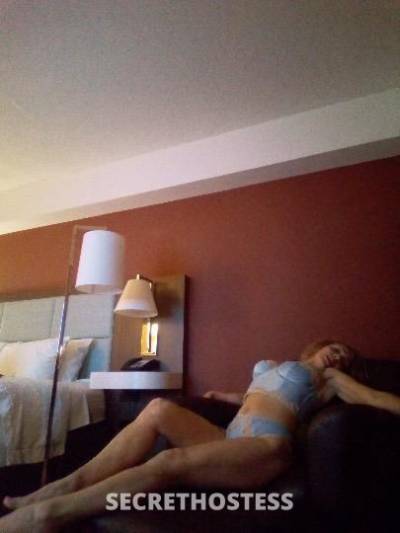 Danni 39Yrs Old Escort Boston MA Image - 5