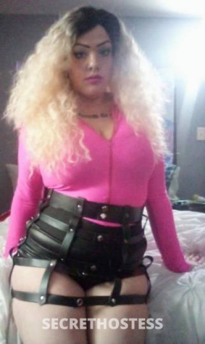 Darci(Abbi) 30Yrs Old Escort Baton Rouge LA Image - 2