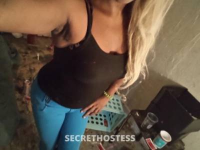 Destiny 28Yrs Old Escort Springfield MA Image - 5