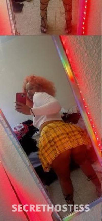 Fanasty 21Yrs Old Escort Toledo OH Image - 7