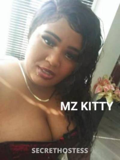 Kitty 26Yrs Old Escort Portsmouth VA Image - 3