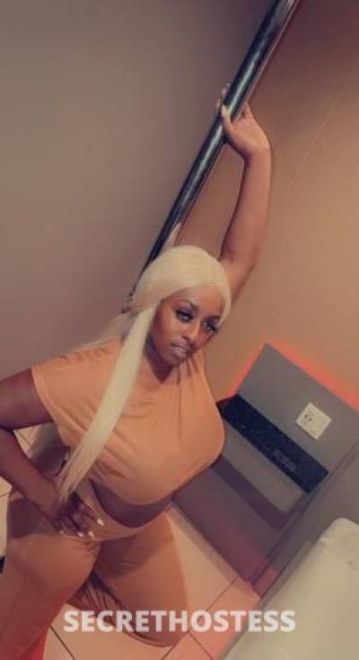 Kitty 28Yrs Old Escort Columbia SC Image - 2