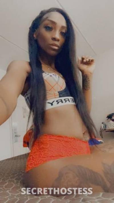 LEGG$ 25Yrs Old Escort New Orleans LA Image - 3