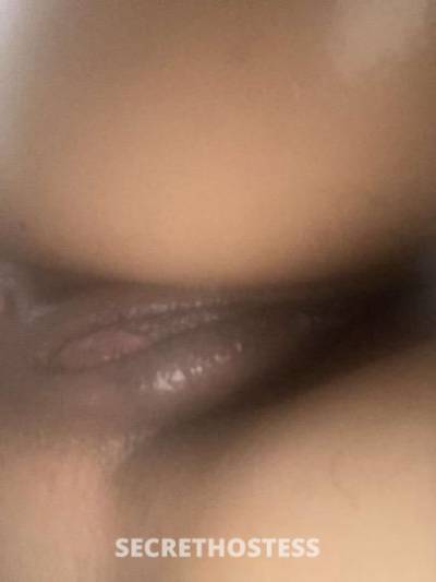 21Yrs Old Escort Fort Lauderdale FL Image - 0