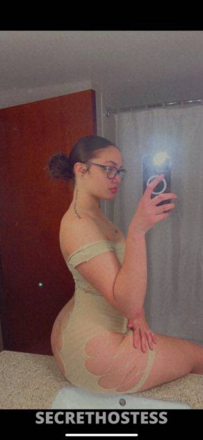 23 Year Old Hispanic Escort Boston MA Blonde - Image 3