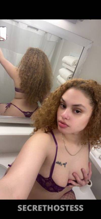 23 Year Old Hispanic Escort Boston MA Blonde - Image 4