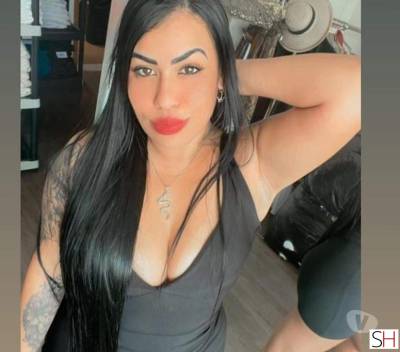 23 year old White Escort in Sorocaba Sao Paulo Promo, venha gozar gostoso