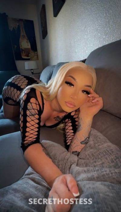 24 year old Escort in El Paso TX Beautiful Blonde Bombshell