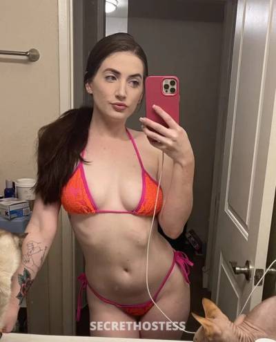 24Yrs Old Escort 91KG 171CM Tall Dresden Image - 1