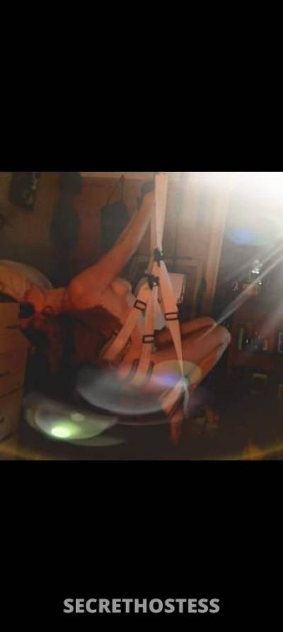 32Yrs Old Escort Size 8 Sunshine Coast Image - 2