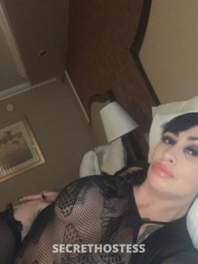 38Yrs Old Escort Los Angeles CA Image - 3