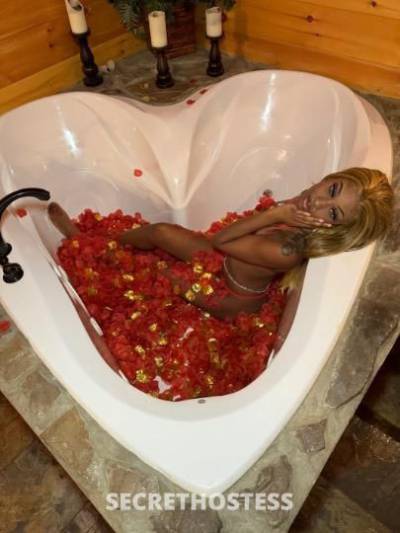 Malibu 23Yrs Old Escort Birmingham AL Image - 9