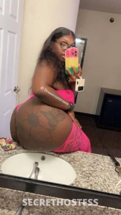 23Yrs Old Escort Bronx NY Image - 2