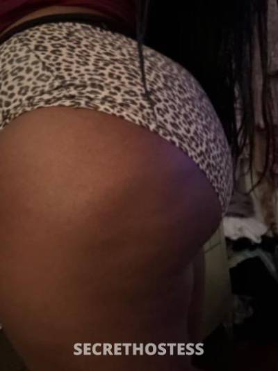 26Yrs Old Escort Miami FL Image - 0