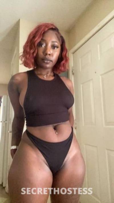26 year old Escort in Raleigh NC Bambi Available