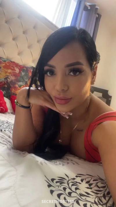 28Yrs Old Escort 55KG 172CM Tall Dresden Image - 1