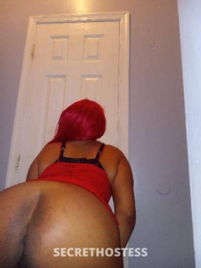 29Yrs Old Escort Staten Island NY Image - 1