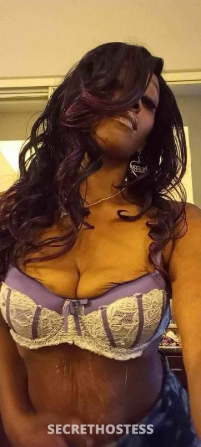 33Yrs Old Escort Chattanooga TN Image - 0