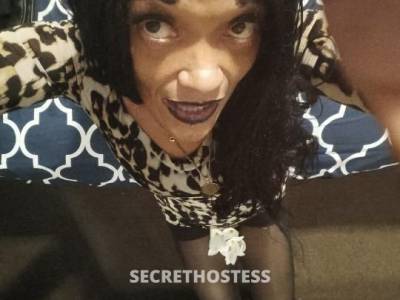 49Yrs Old Escort Miami FL Image - 2