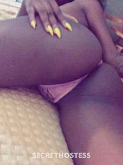 Alexis 25Yrs Old Escort Bronx NY Image - 2