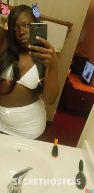 Amber 24Yrs Old Escort Madison WI Image - 0