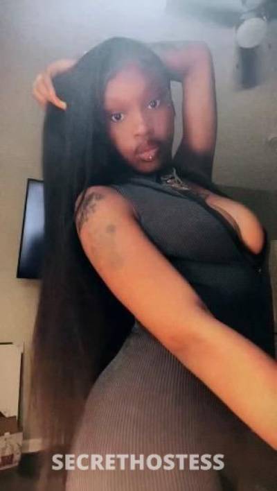 Amiri 20Yrs Old Escort Albuquerque NM Image - 6