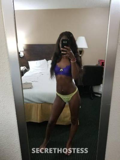 Ashley 21Yrs Old Escort Miami FL Image - 4