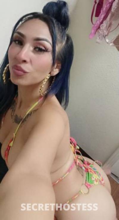Ima bdad bih but ill treat you good💕😘😻💦 Cum n  in El Paso TX